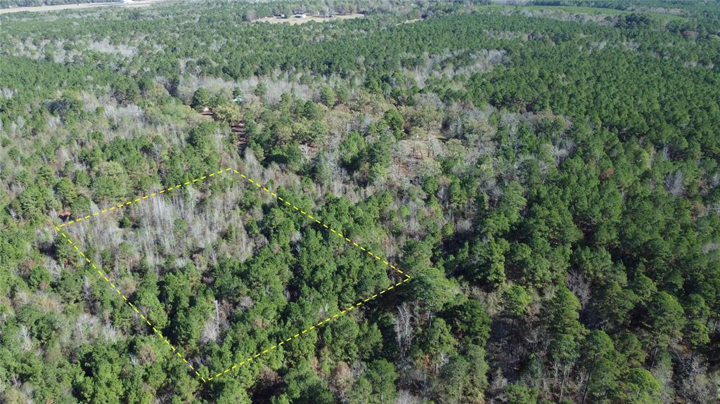 10719 Monterey School Road Vivian, LA 71082 - Photo 21 of 22