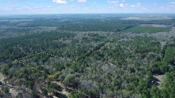 a view of a field of grass and trees