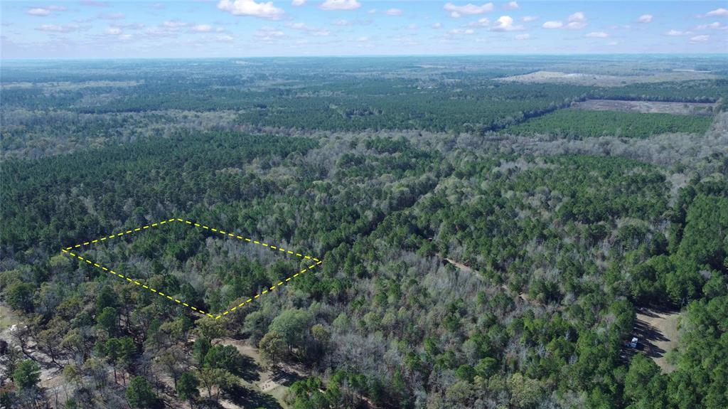 10719 Monterey School Road Vivian, LA 71082 - Photo 4 of 22