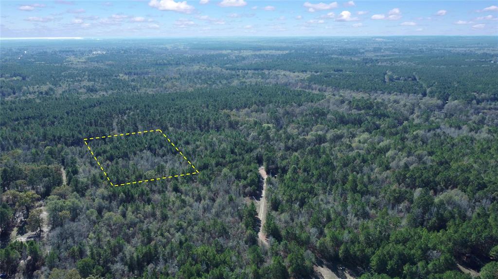 10719 Monterey School Road Vivian, LA 71082 - Photo 5 of 22