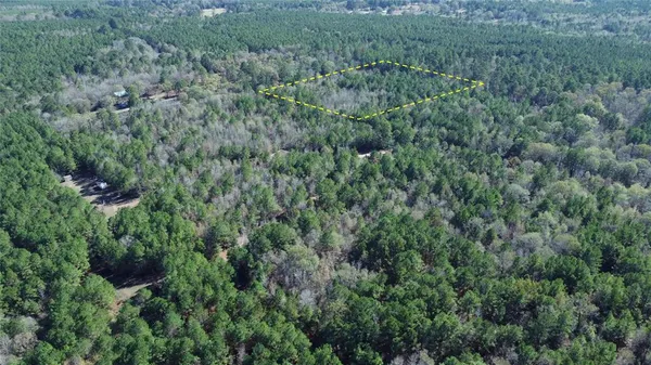 an aerial view of residential house with outdoor space and trees all around