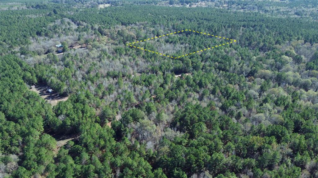 10719 Monterey School Road Vivian, LA 71082 - Photo 6 of 22