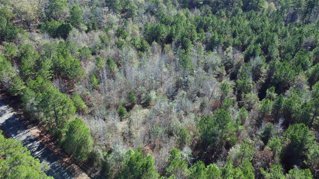 10719 Monterey School Road Vivian, LA 71082 - Photo 10 of 22