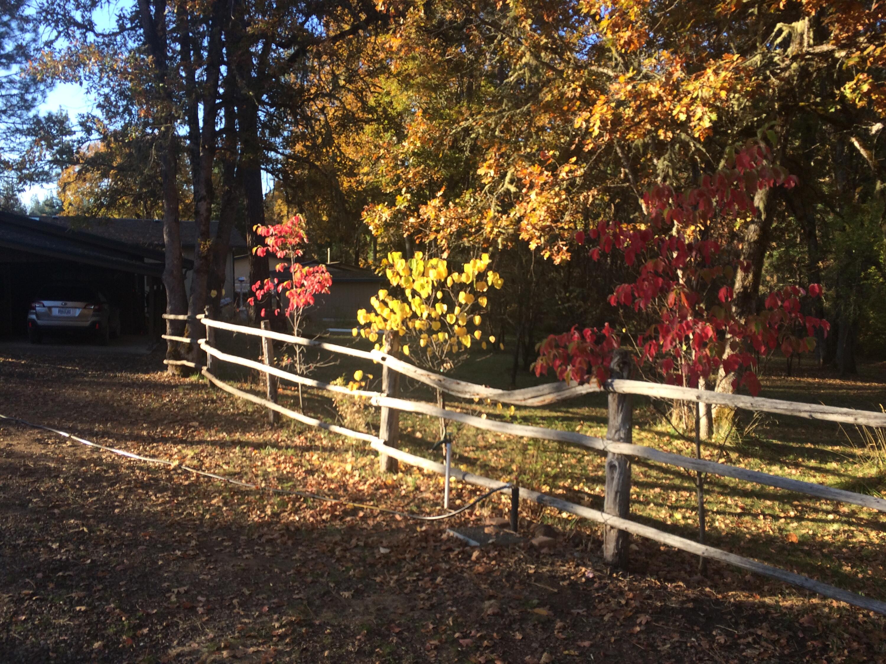 1250 Netherlands Road Trail, OR 97541 - Photo 50 of 50 50-Abundant Fall Colors