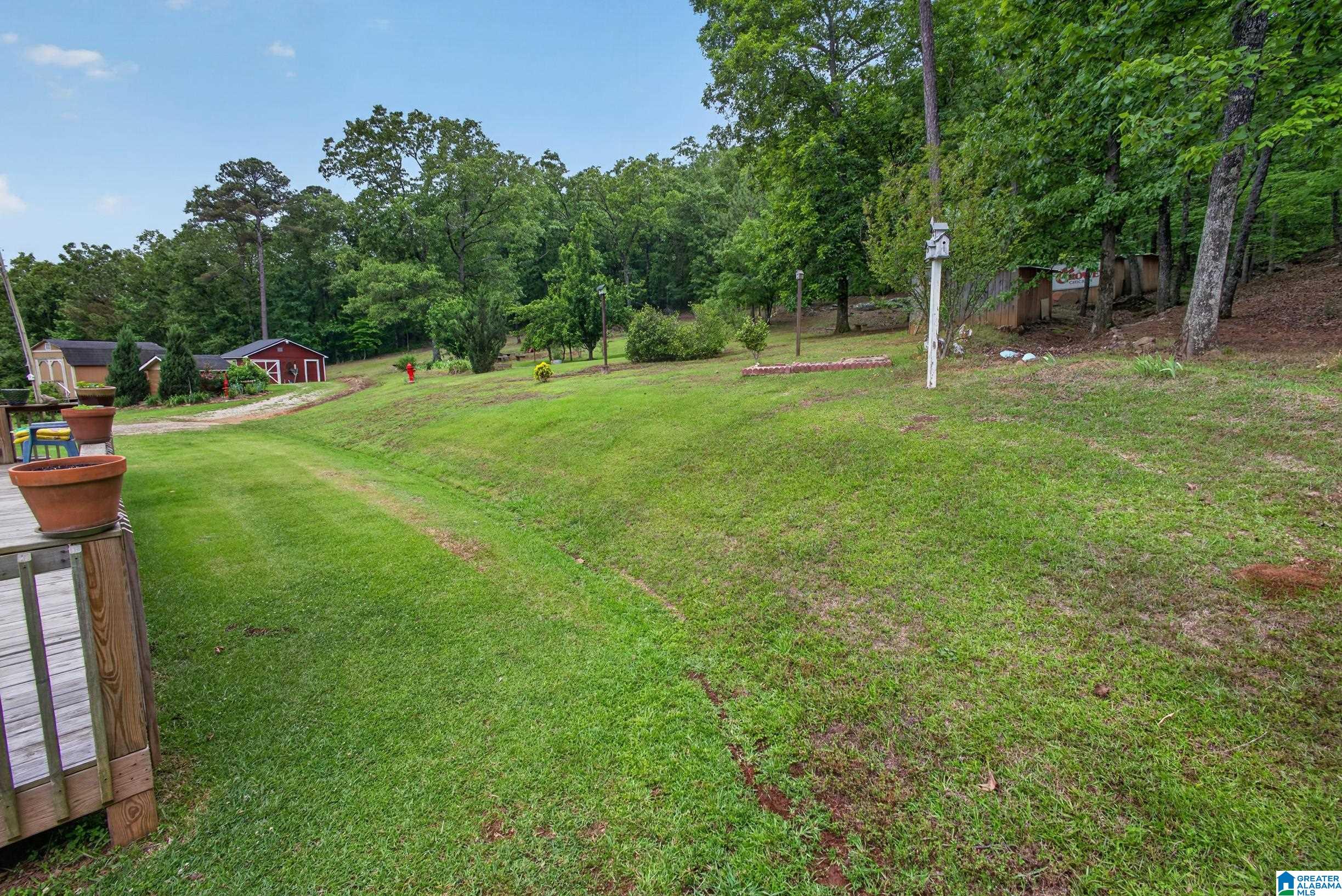 625 Hazelbrook Lane Alpine, AL 35014 - Photo 4 of 53