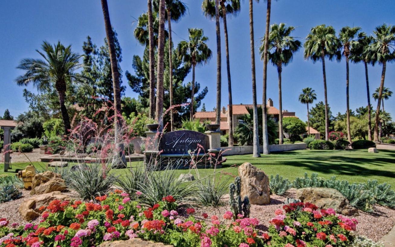 8787 East Mountain View Road, Unit 1034 Scottsdale, AZ 85258 - Photo 43 of 43 a view of a garden with a building in front of it