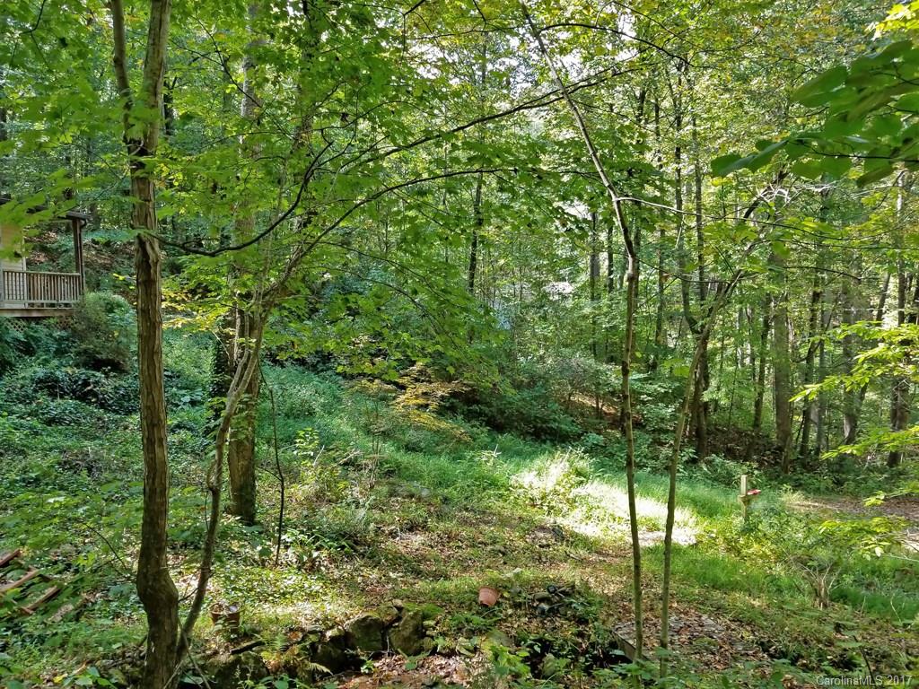 51 New Valley Road Swannanoa, NC 28778 - Photo 2 of 5 Gallery Image 2