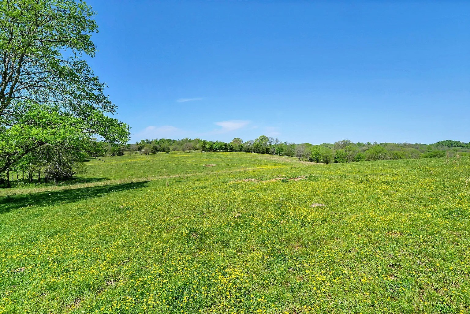 290 Gladdice Road Pleasant Shade, TN 37145 - Photo 4 of 41