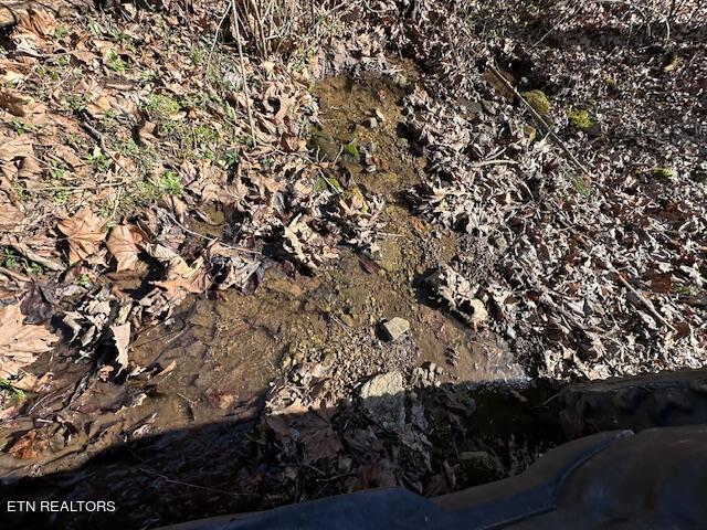 Boones Path Road Rose Hill, VA 24281 - Photo 11 of 48 creek