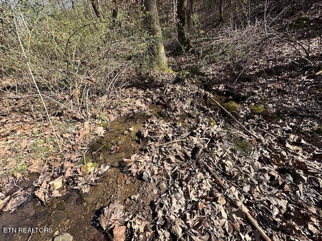 Boones Path Road Rose Hill, VA 24281 - Photo 12 of 48 creek