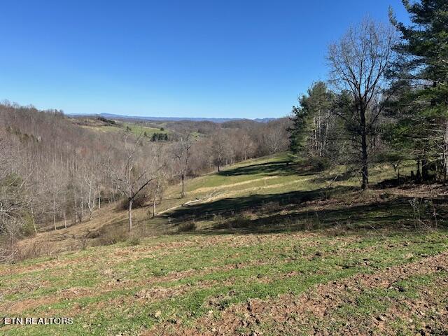 Boones Path Road Rose Hill, VA 24281 - Photo 14 of 48 IMG_1244