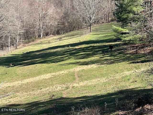 Boones Path Road Rose Hill, VA 24281 - Photo 15 of 48 IMG_1245