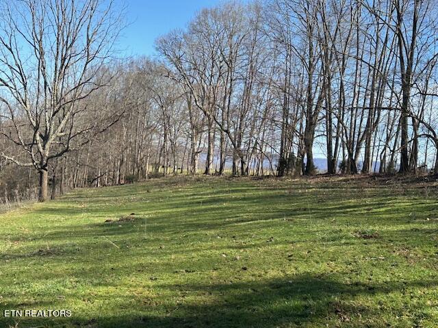 Boones Path Road Rose Hill, VA 24281 - Photo 16 of 48 IMG_1247