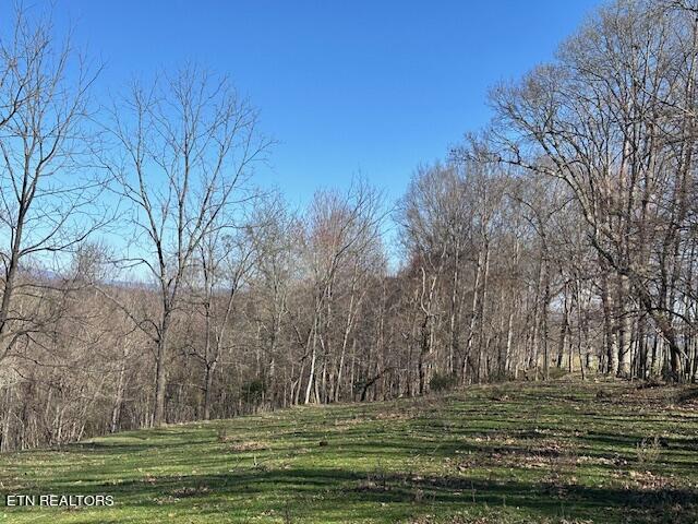 Boones Path Road Rose Hill, VA 24281 - Photo 17 of 48 IMG_1249 (1)