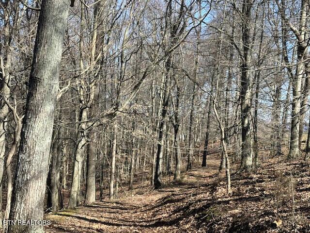 Boones Path Road Rose Hill, VA 24281 - Photo 18 of 48 IMG_1253