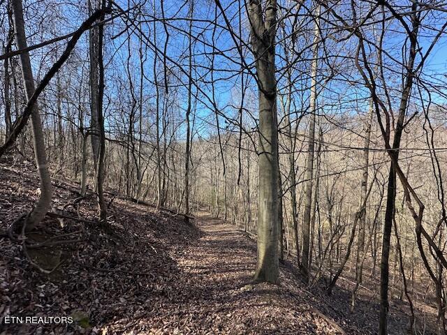 Boones Path Road Rose Hill, VA 24281 - Photo 19 of 48 IMG_1259