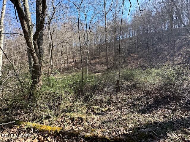 Boones Path Road Rose Hill, VA 24281 - Photo 20 of 48 IMG_1265