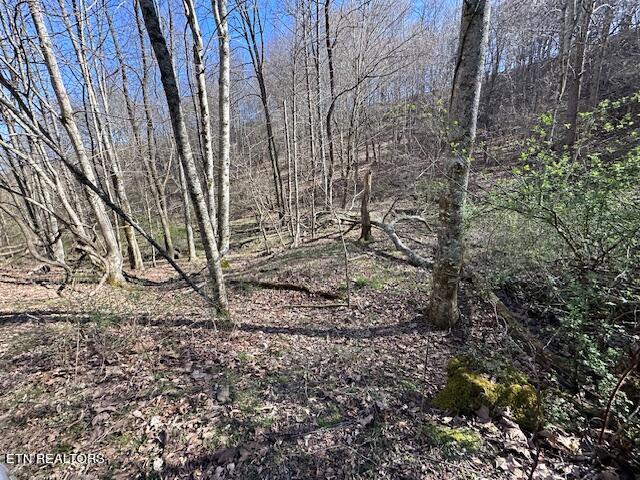 Boones Path Road Rose Hill, VA 24281 - Photo 21 of 48 IMG_1266