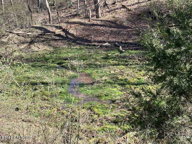 Boones Path Road Rose Hill, VA 24281 - Photo 23 of 48 IMG_1271