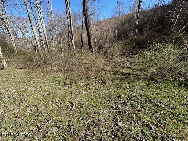 Boones Path Road Rose Hill, VA 24281 - Photo 26 of 48 IMG_1277