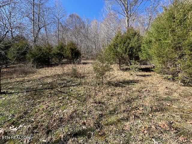 Boones Path Road Rose Hill, VA 24281 - Photo 27 of 48 IMG_1278