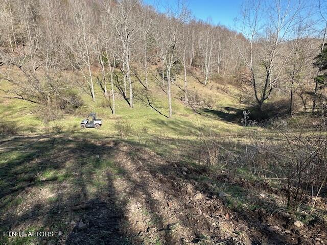 Boones Path Road Rose Hill, VA 24281 - Photo 32 of 48 IMG_1302