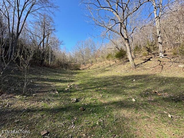 Boones Path Road Rose Hill, VA 24281 - Photo 33 of 48 IMG_1307