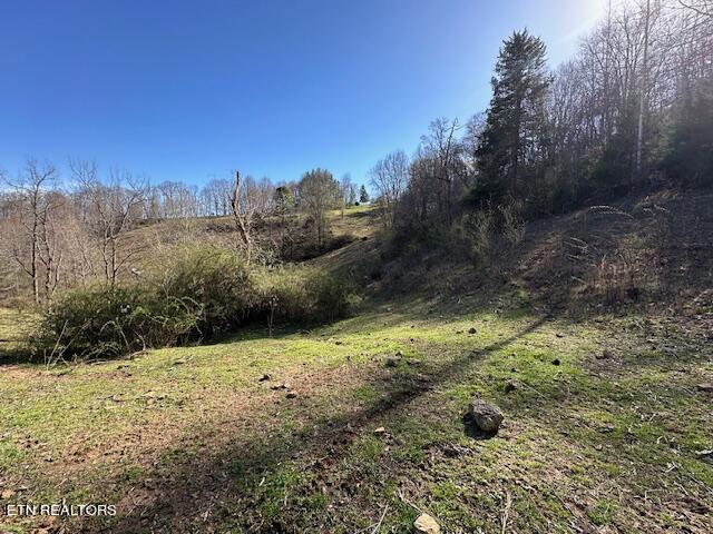 Boones Path Road Rose Hill, VA 24281 - Photo 34 of 48 IMG_1308