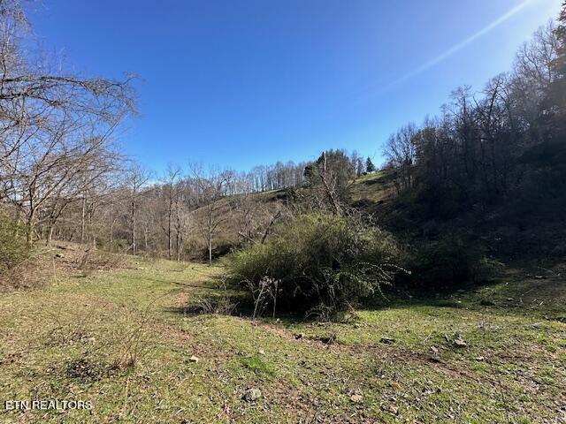 Boones Path Road Rose Hill, VA 24281 - Photo 35 of 48 IMG_1309