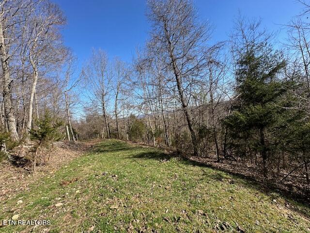 Boones Path Road Rose Hill, VA 24281 - Photo 37 of 48 IMG_1314