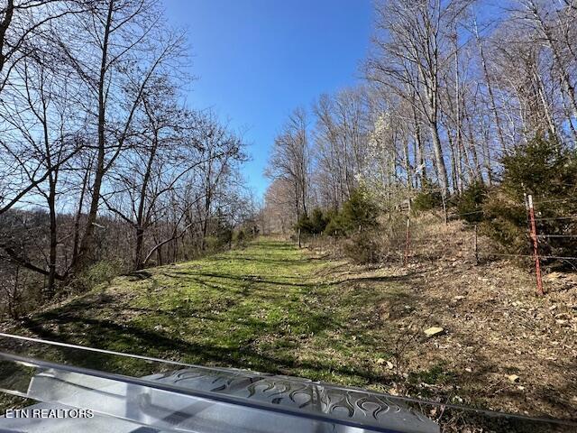 Boones Path Road Rose Hill, VA 24281 - Photo 38 of 48 IMG_1315