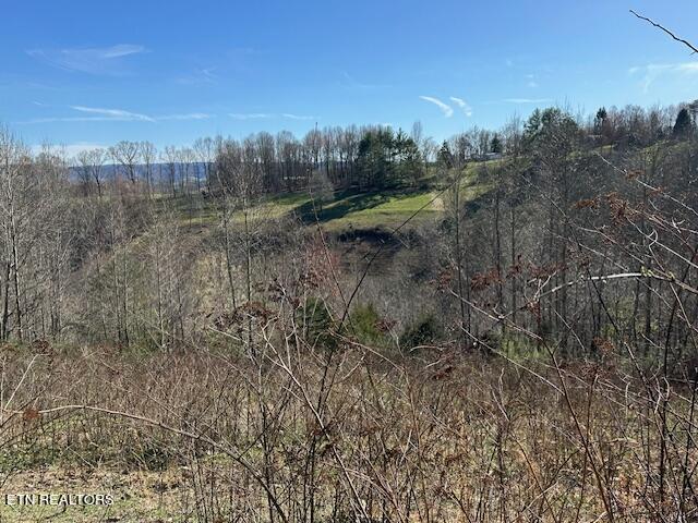 Boones Path Road Rose Hill, VA 24281 - Photo 40 of 48 IMG_1317