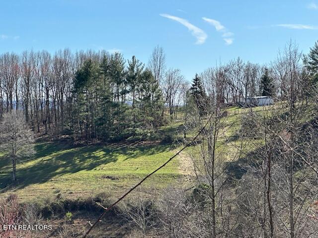 Boones Path Road Rose Hill, VA 24281 - Photo 41 of 48 IMG_1318