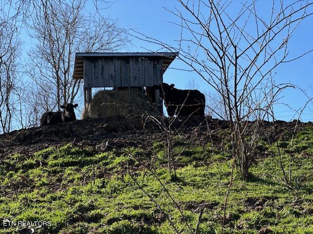 Boones Path Road Rose Hill, VA 24281 - Photo 43 of 48 IMG_1327