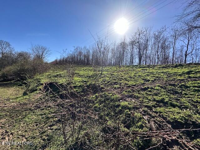 Boones Path Road Rose Hill, VA 24281 - Photo 45 of 48 IMG_1329