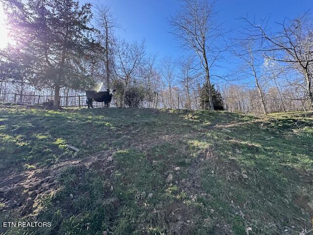 Boones Path Road Rose Hill, VA 24281 - Photo 47 of 48 IMG_1337