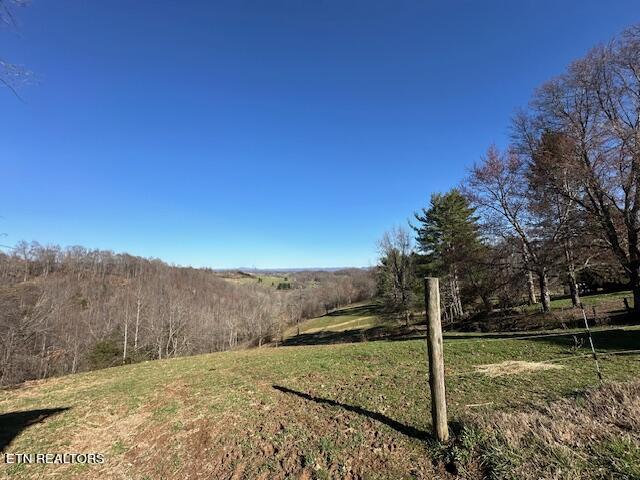 Boones Path Road Rose Hill, VA 24281 - Photo 48 of 48 IMG_1339 (1)