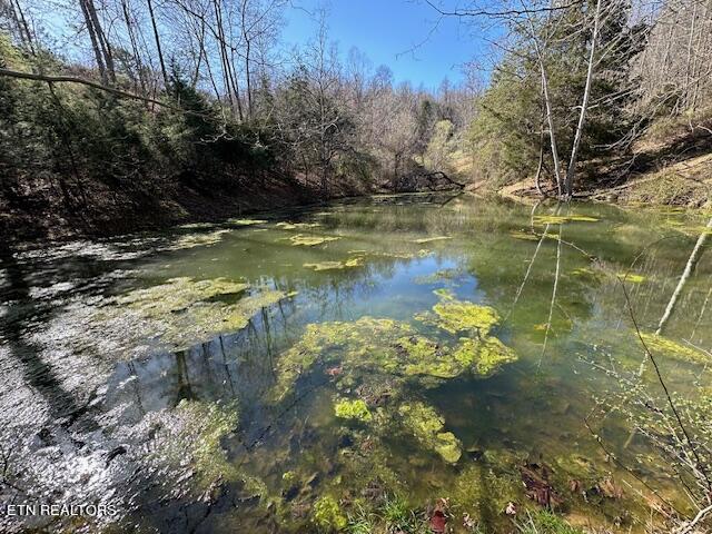 Boones Path Road Rose Hill, VA 24281 - Photo 7 of 48 spring fed pond
