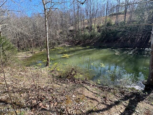 Boones Path Road Rose Hill, VA 24281 - Photo 8 of 48 spring fed pond