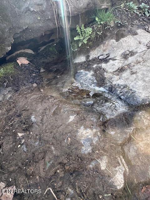 Boones Path Road Rose Hill, VA 24281 - Photo 9 of 48 spring