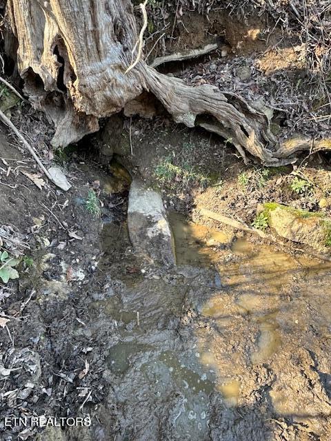 Boones Path Road Rose Hill, VA 24281 - Photo 10 of 48 spring