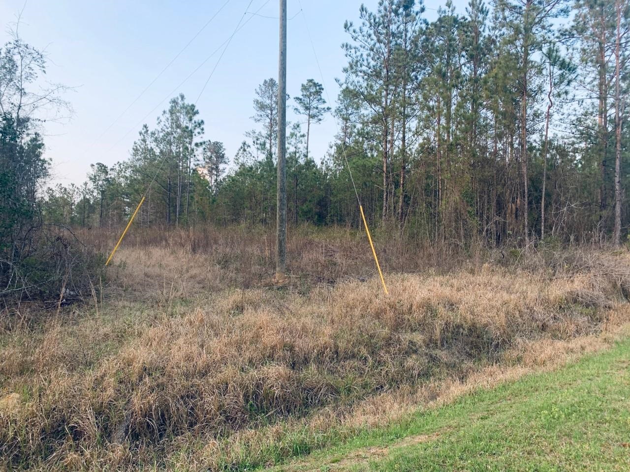 23180 Lonnie Hadley Road Perdido, AL 36562 - Photo 8 of 11
