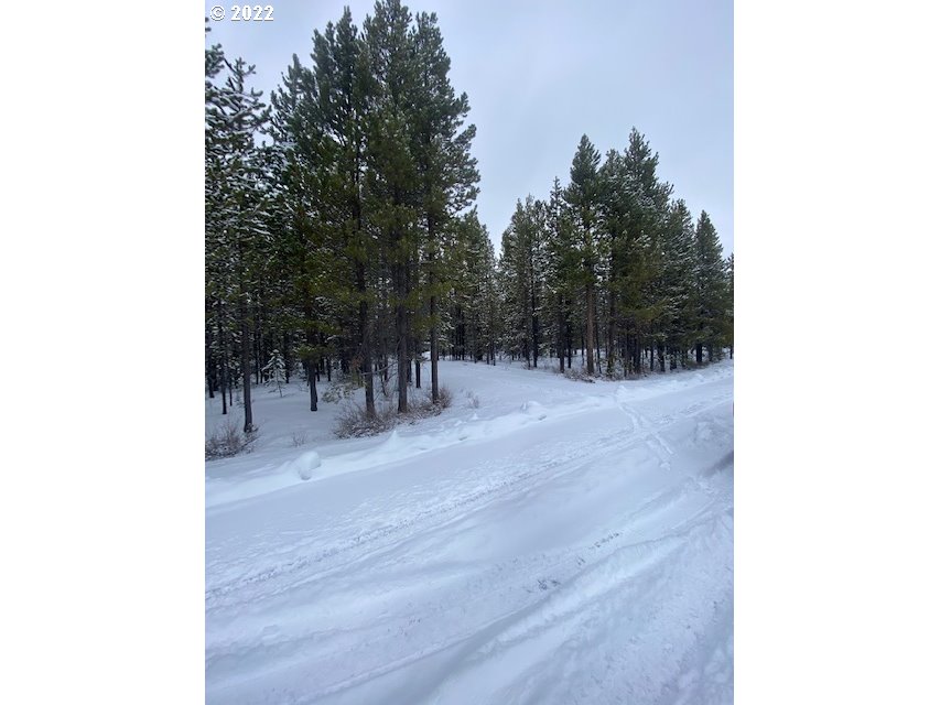 Cruikshank Road Crescent Lake, OR 97733 - Photo 4 of 8 a view of outdoor space and yard