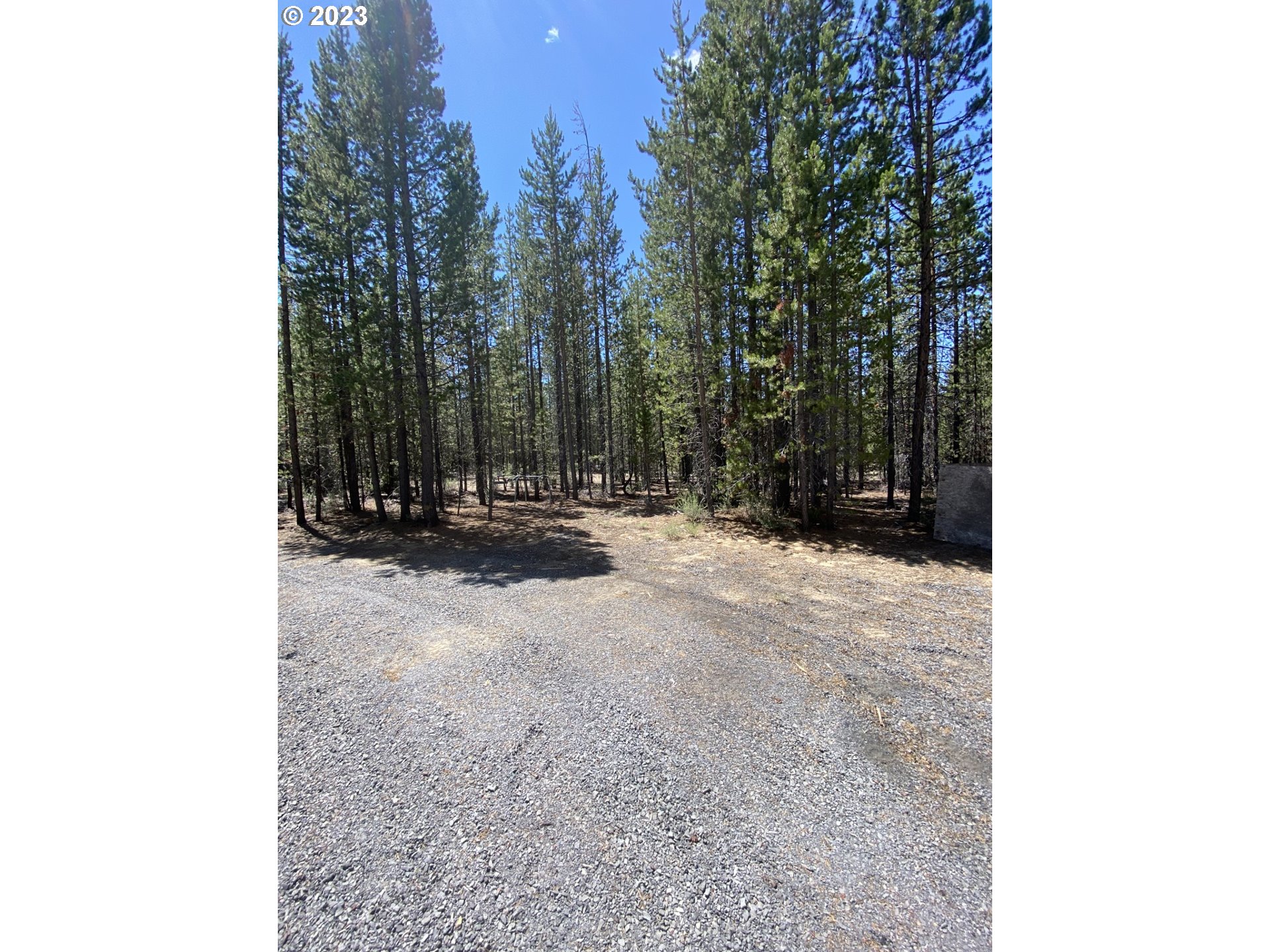 Cruikshank Road Crescent Lake, OR 97733 - Photo 6 of 8 a view of outdoor space with trees