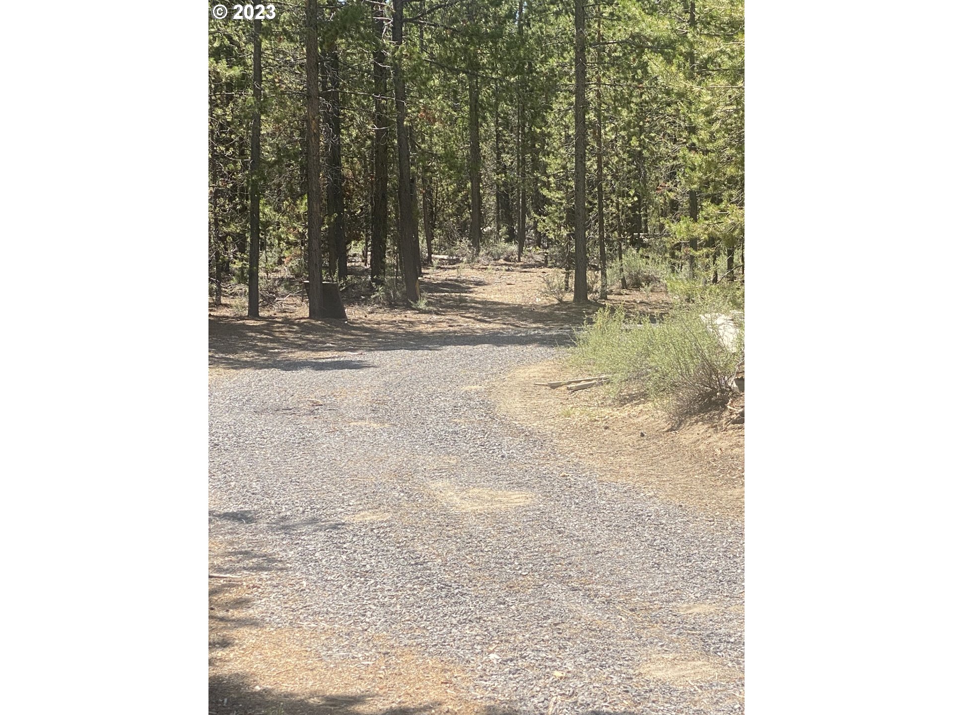 Cruikshank Road Crescent Lake, OR 97733 - Photo 7 of 8 a view of a forest with trees