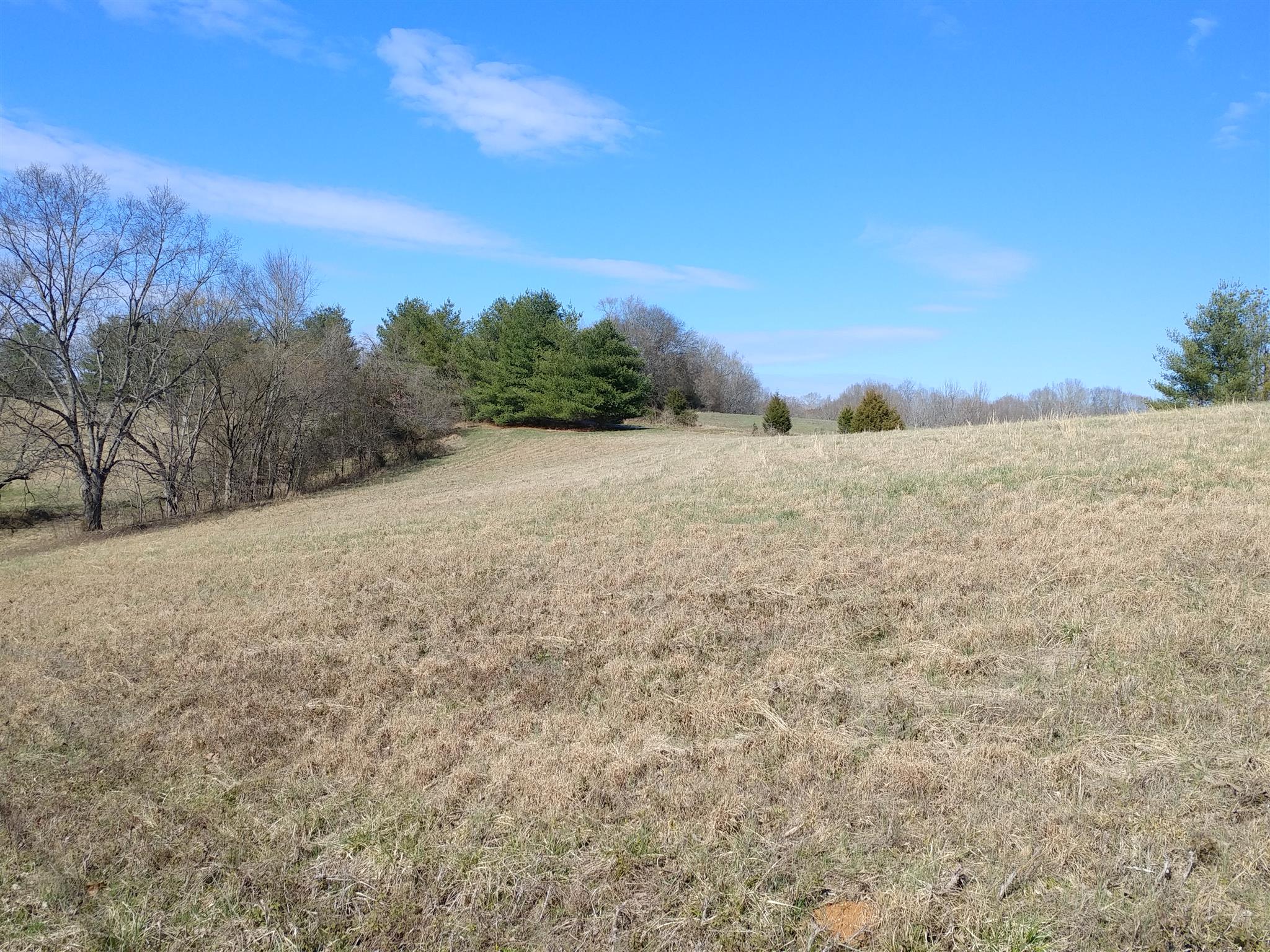 8 Hickory Drive Springfield, TN 37172 - Photo 3 of 8 a view of an ocean beach