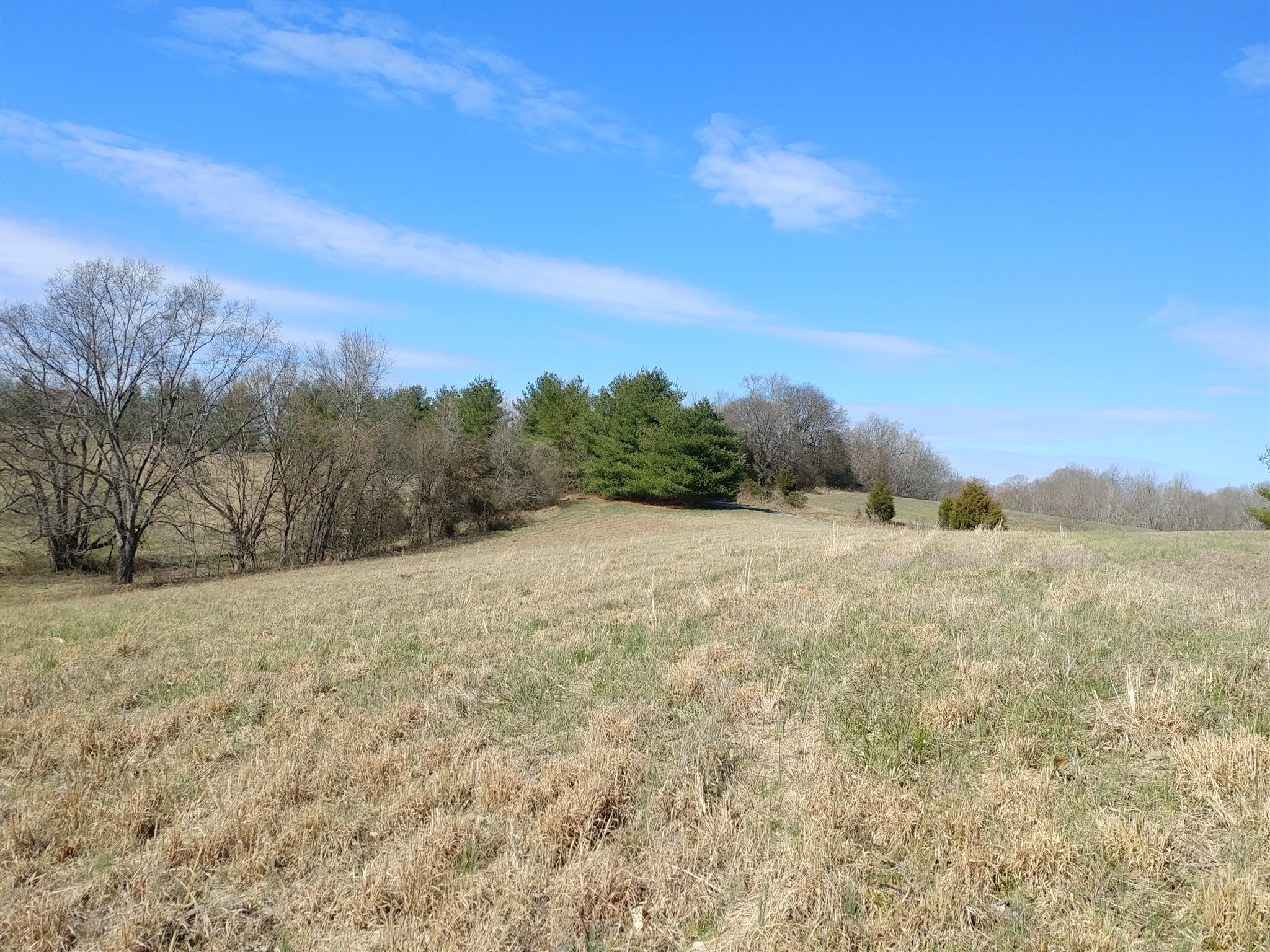 8 Hickory Drive Springfield, TN 37172 - Photo 5 of 8 a view of mountain view with mountain