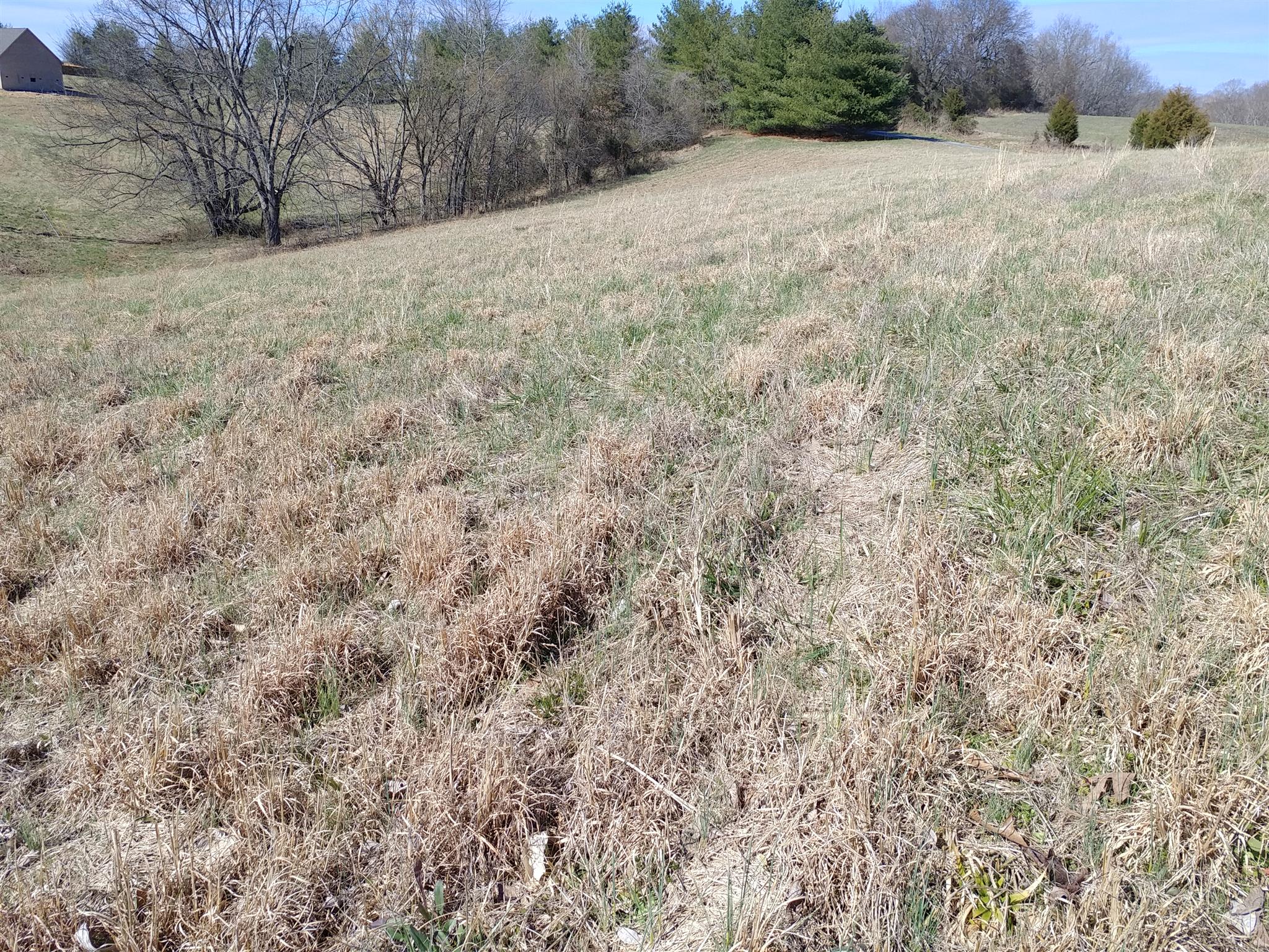 8 Hickory Drive Springfield, TN 37172 - Photo 8 of 8 a view of a dry yard with trees