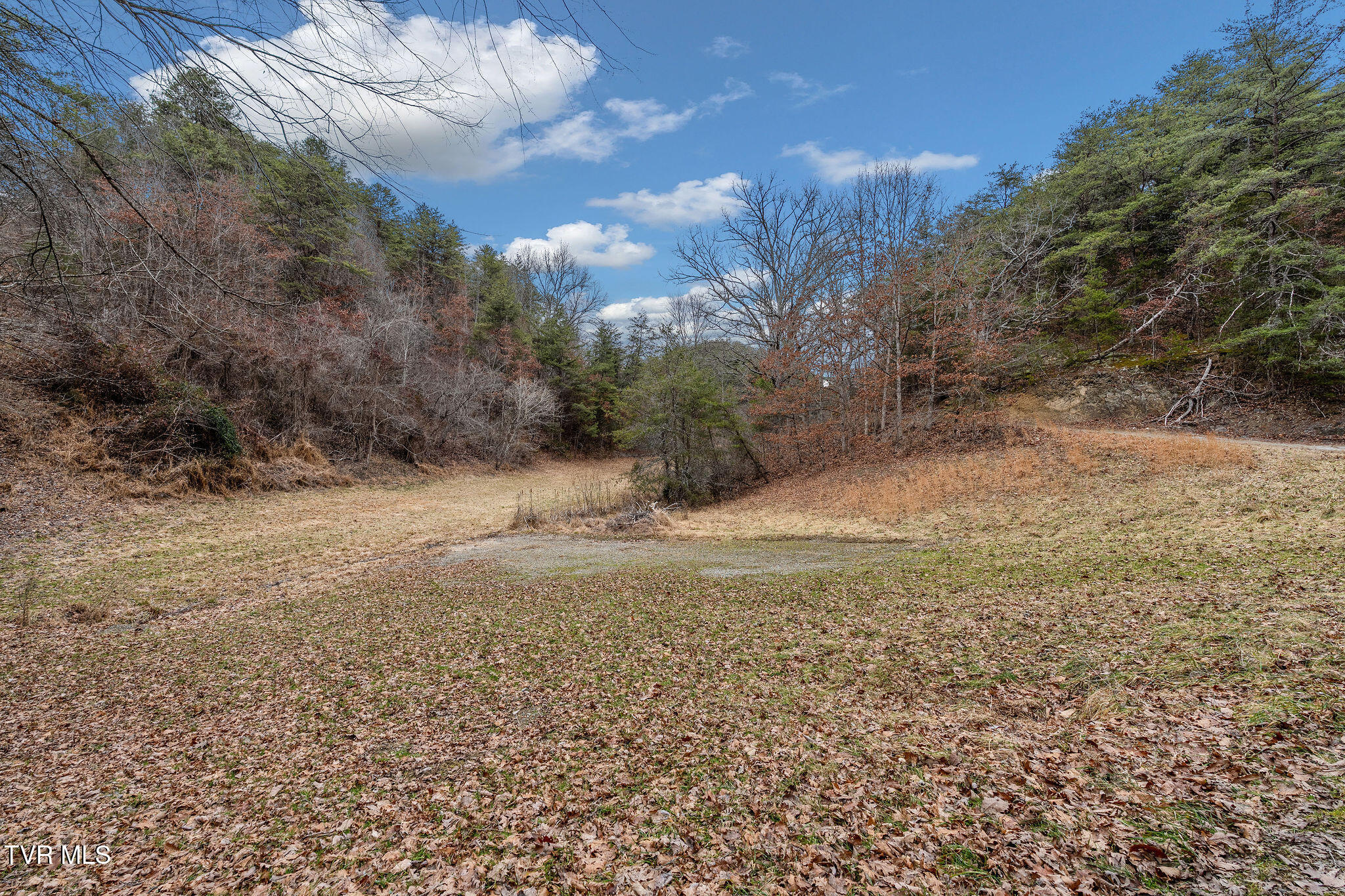 1135 Piney Flats Road Watauga, TN 37694 - Photo 14 of 55 DSC07656