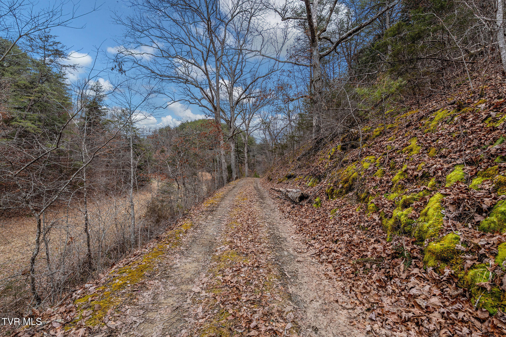 1135 Piney Flats Road Watauga, TN 37694 - Photo 17 of 55 DSC07659